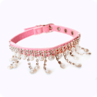 Pet Accessories